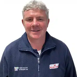 Noel Doyle