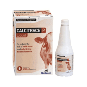 Calcitrace P Liquid - 4x500ml
