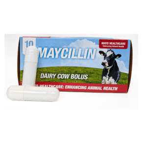 Maycillin Bolus 10 pack - Mayo Healthcare