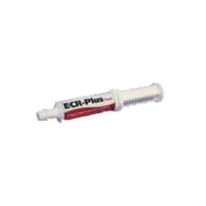 ECR-PLUS Paste 60g