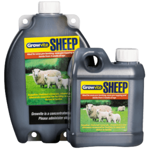 Growvite Sheep Drench