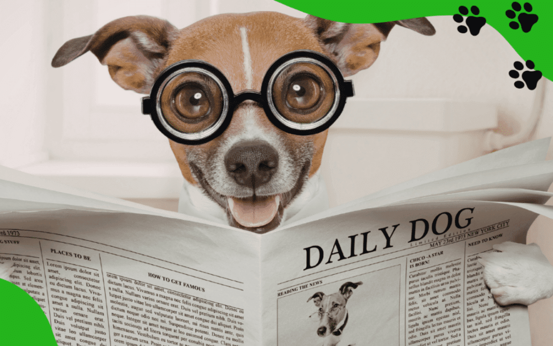🐾🐱 Ordering your Pet Meds is now as easy as 1, 2, 3…. 🐾🐱