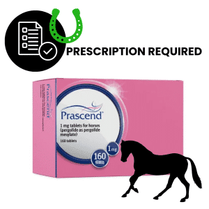 Prascend 1mg Tablets for Horses