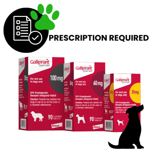 Galliprant Tablet for Dogs - Pack of 30