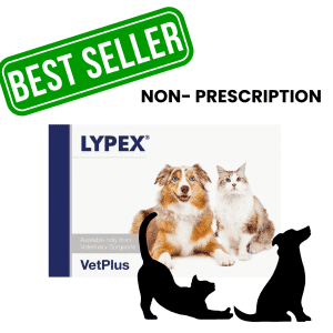 Lypex for Dogs and Cats - Pack of 60